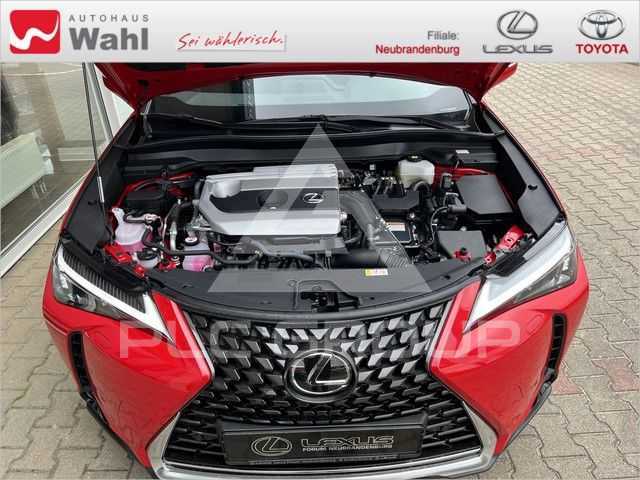 2024 Lexus UX