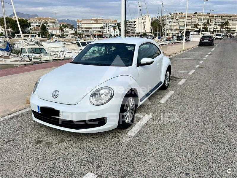2013 Volkswagen BEETLE