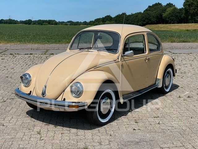 1982 Volkswagen BEETLE