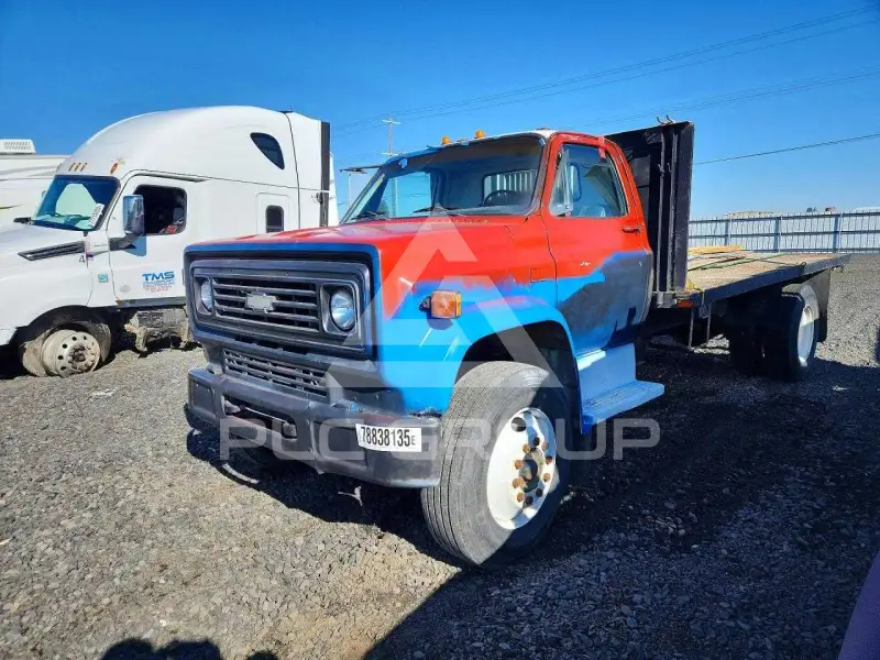1981 Chevrolet  photo