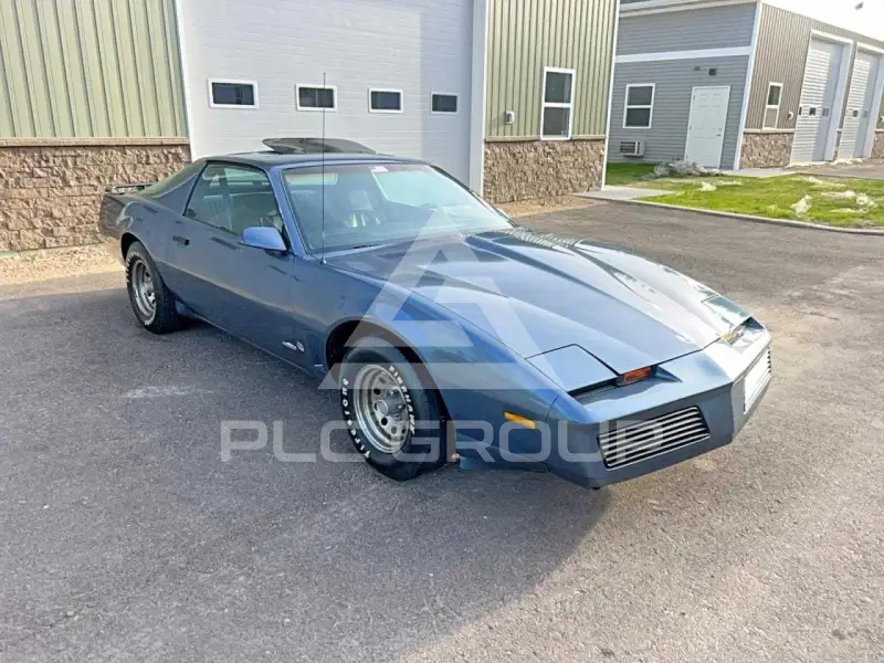 1983 Pontiac FIREBIRD photo