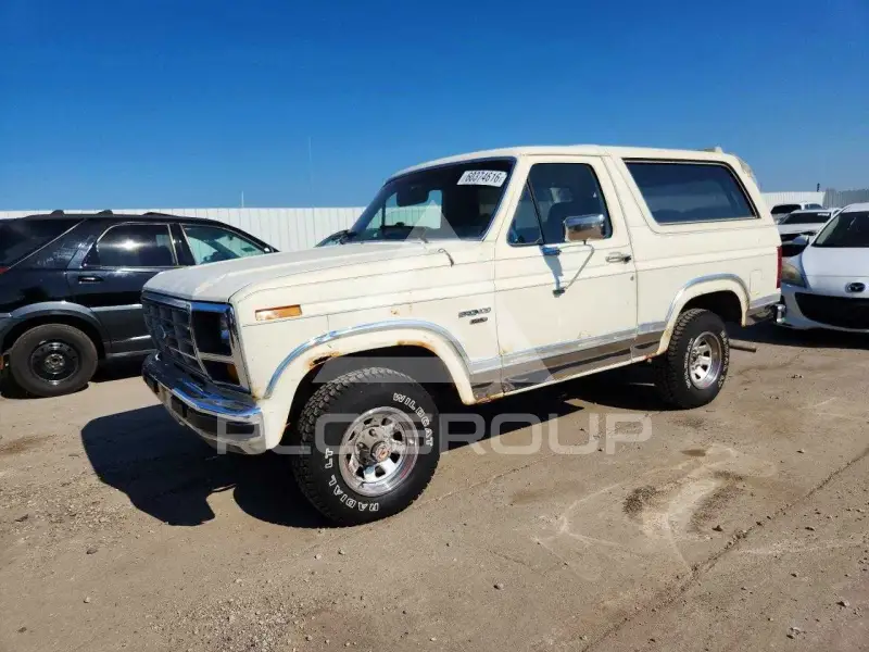 1983 Ford BRONCO photo