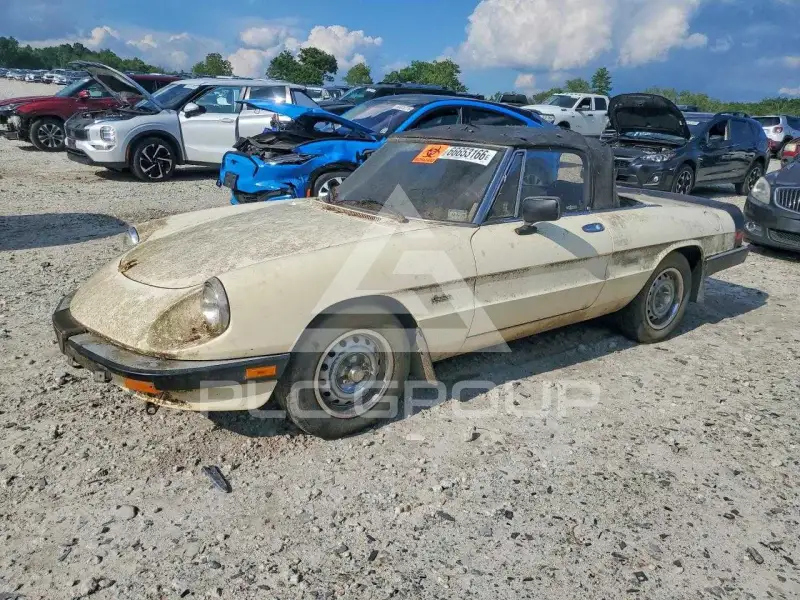 1987 Alfa Romeo Spider фото