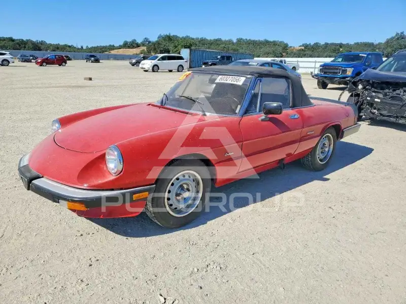 1987 Alfa Romeo Spider фото