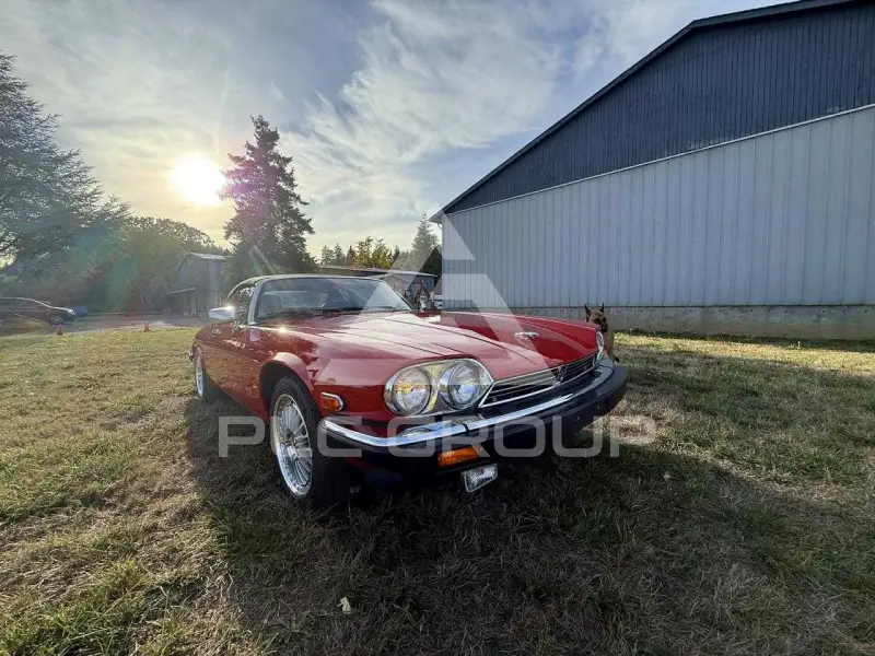 1990 Jaguar XJS фото