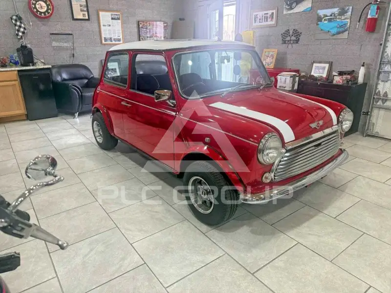 1991 Mini  фото