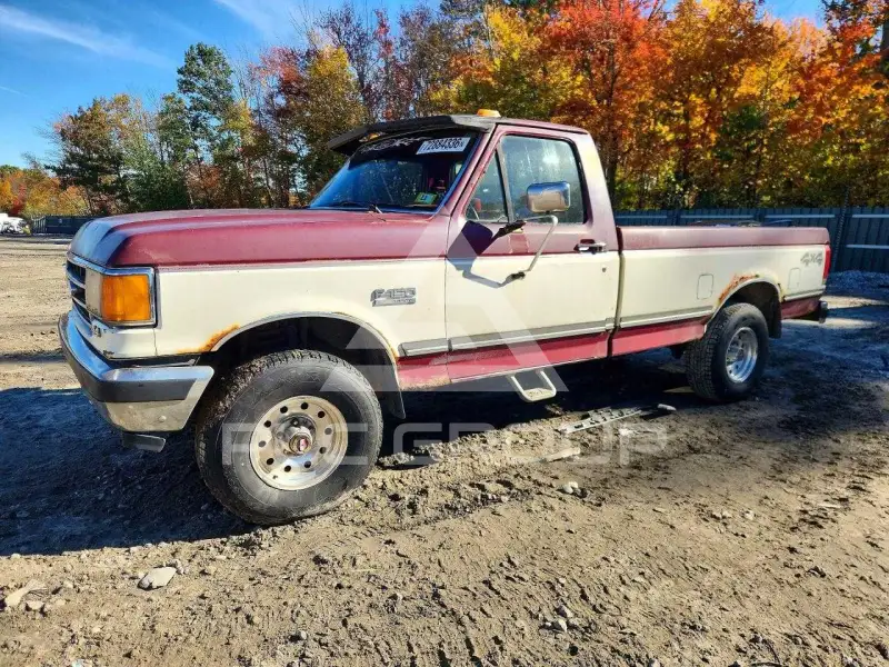 1991 Ford F-150 photo