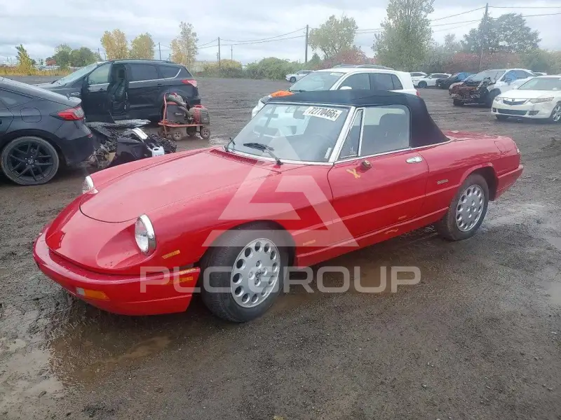 1992 Alfa Romeo Spider фото