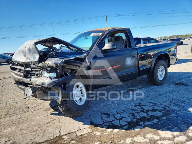 1999 Dodge DAKOTA photo