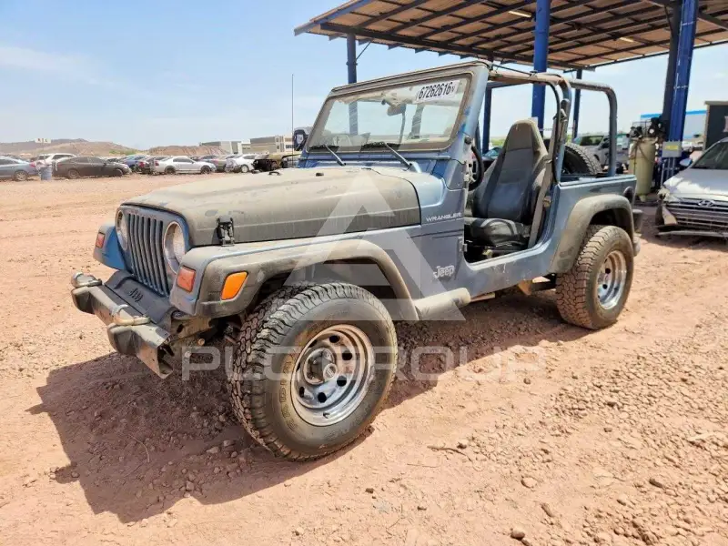 1999 Jeep WRANGLER фото