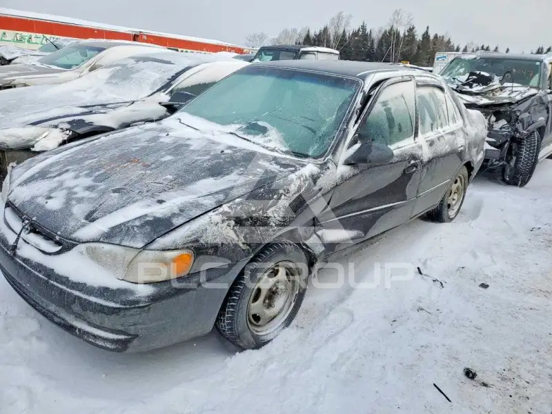 1999 Toyota COROLLA фото