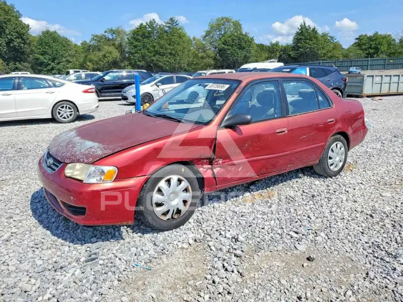 2001 Toyota COROLLA фото