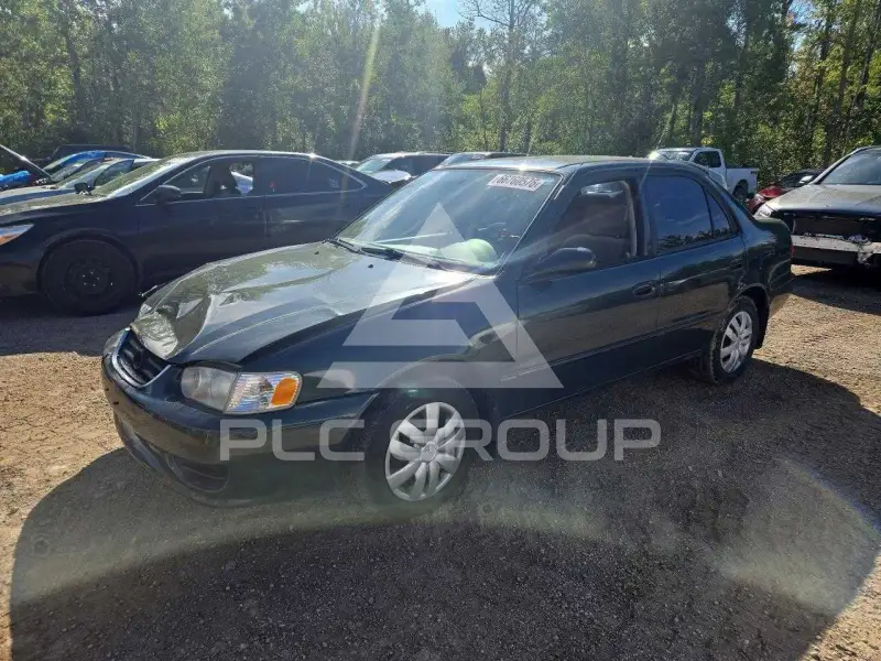2001 Toyota COROLLA photo