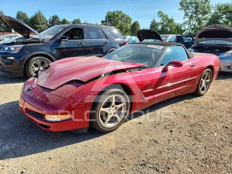 2002 Chevrolet Corvette фото