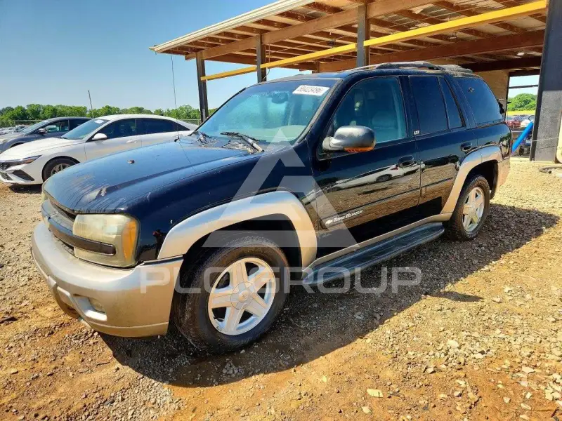 2002 Chevrolet TRAILBLAZE фото
