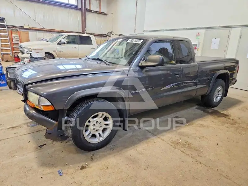 2002 Dodge DAKOTA photo