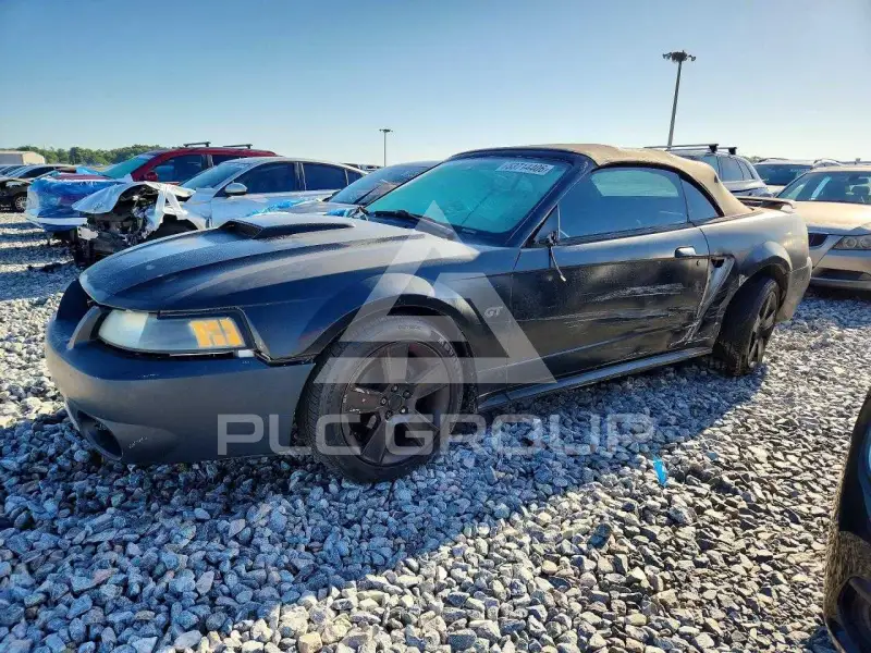 2002 Ford MUSTANG фото