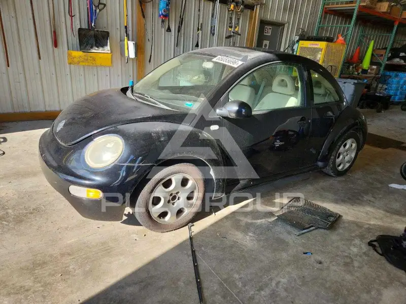 2002 Volkswagen BEETLE фото