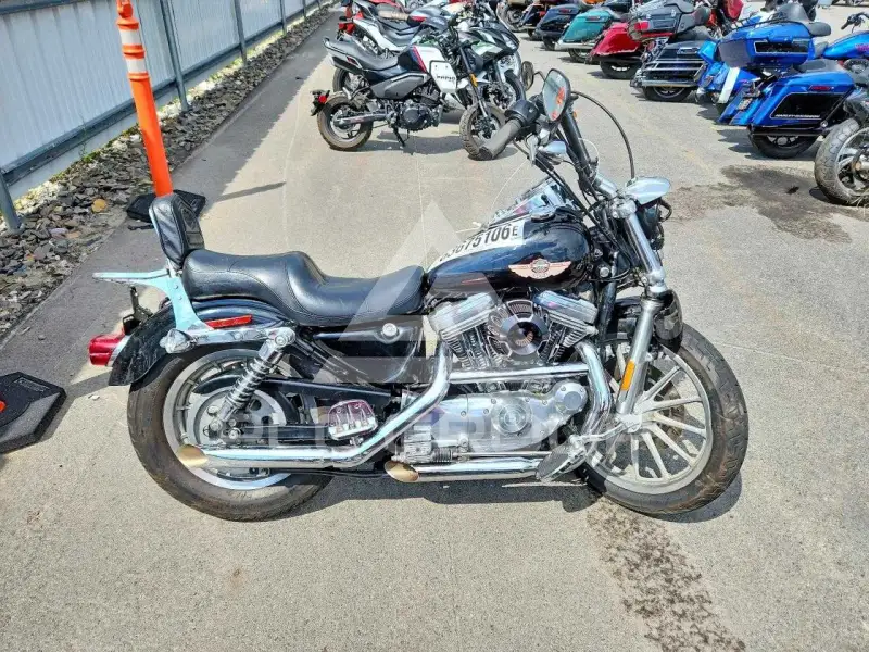 2003 Harley-Davidson Sportster883 фото