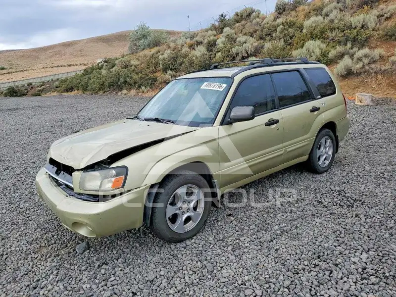 2003 Subaru Forester фото