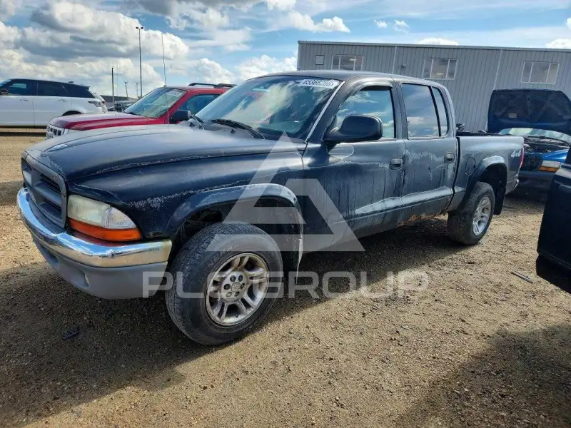 2003 Dodge DAKOTA photo