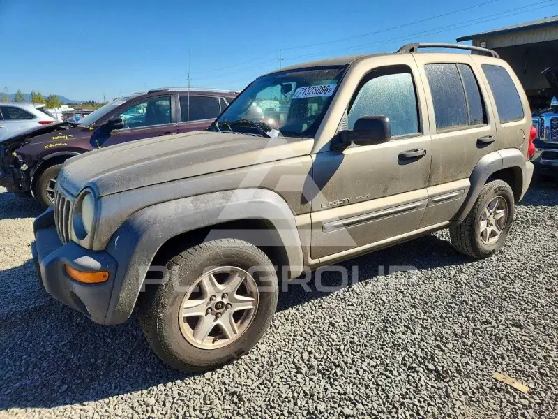 2003 Jeep LIBERTY фото