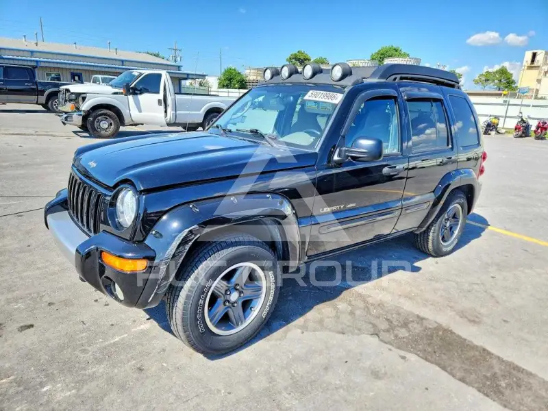 2003 Jeep LIBERTY фото