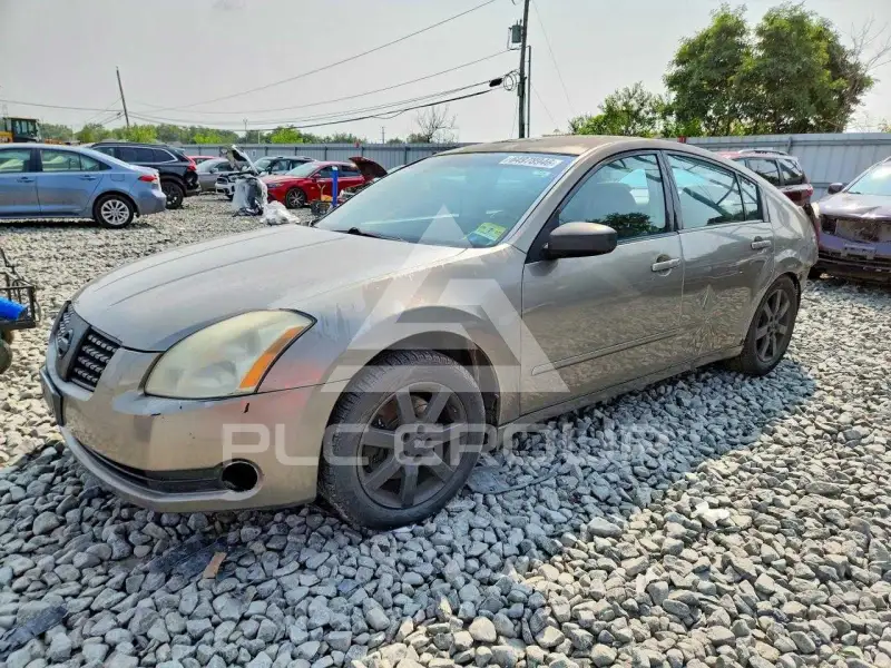 2004 Nissan MAXIMA photo