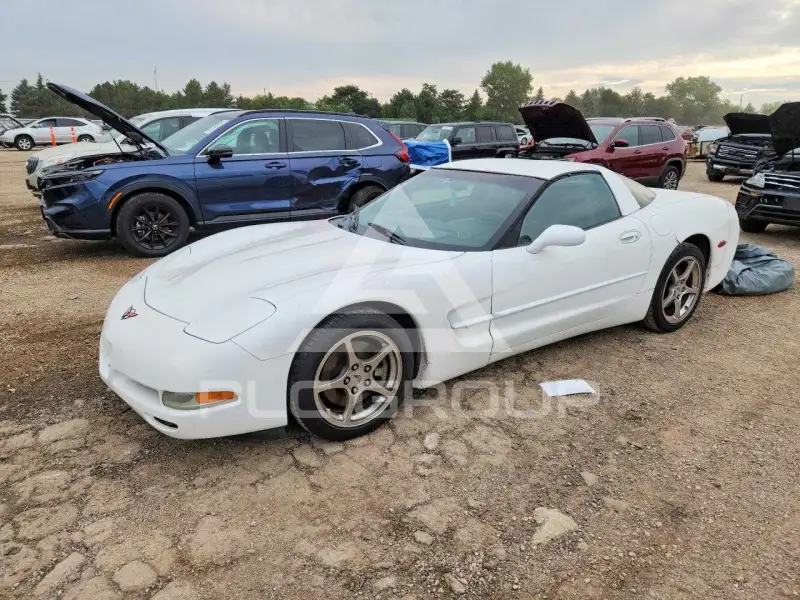 2004 Chevrolet Corvette photo