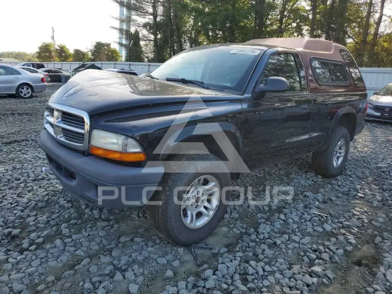 2004 Dodge DAKOTA photo