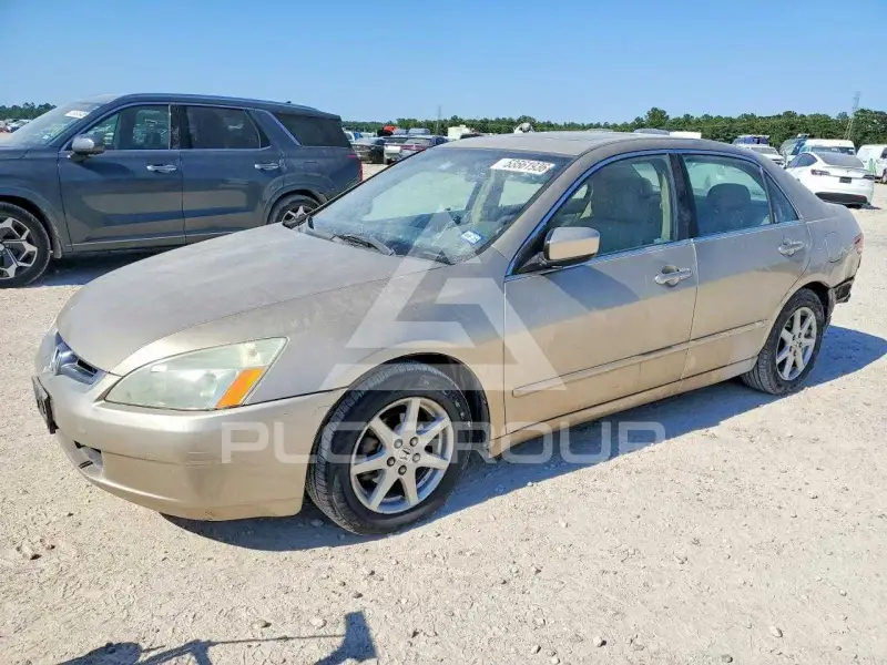 2004 Honda Accord фото