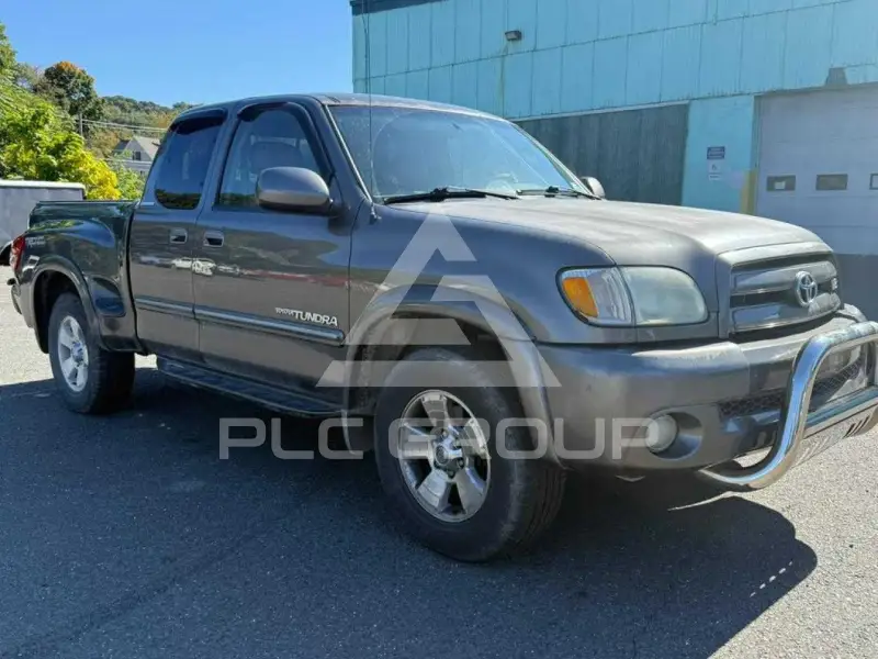 2004 Toyota TUNDRA фото