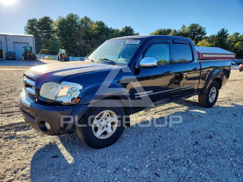 2004 Toyota TUNDRA фото