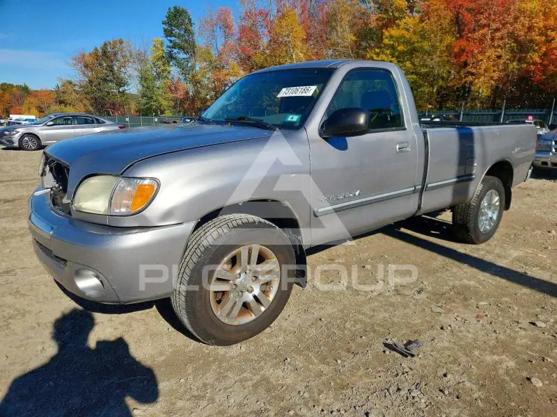 2004 Toyota TUNDRA photo