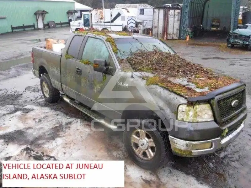 2004 Ford F-150 фото