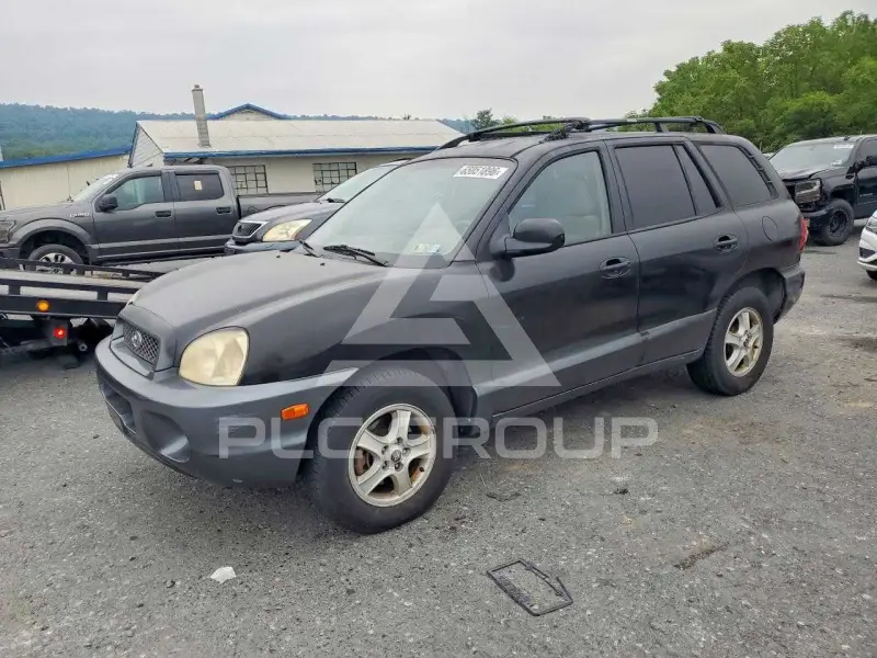 2004 Hyundai Santa Fe photo