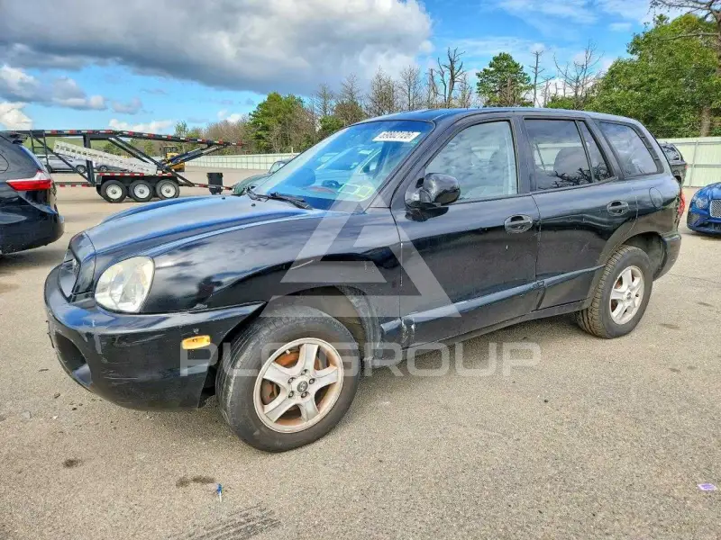2004 Hyundai Santa Fe фото