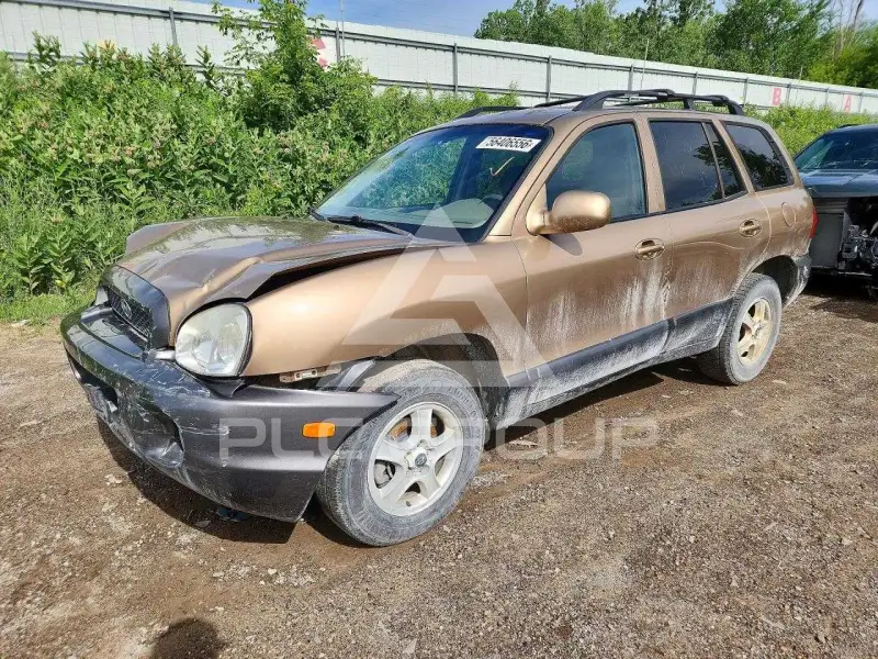 2004 Hyundai Santa Fe фото