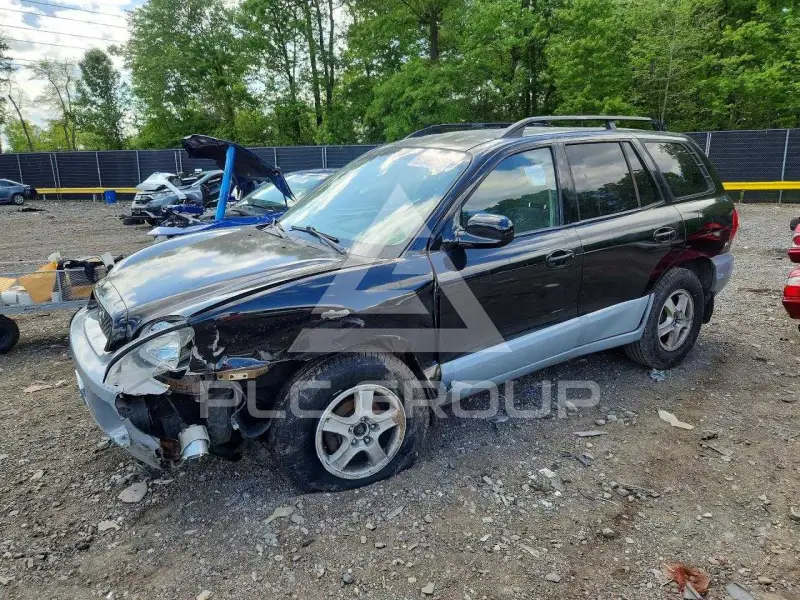 2004 Hyundai Santa Fe фото