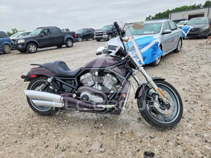 2005 Harley-Davidson VRS фото
