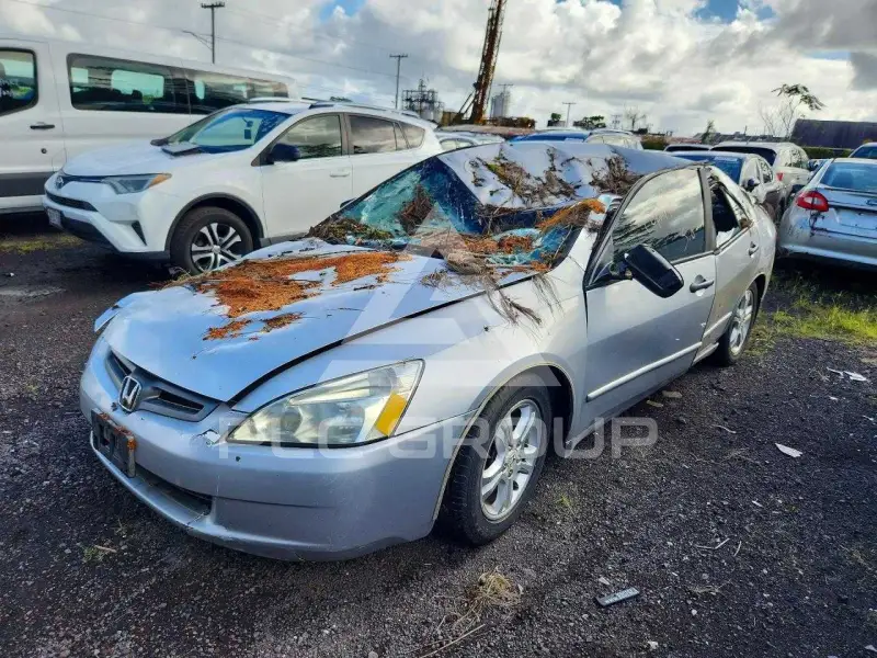 2005 Honda Accord photo