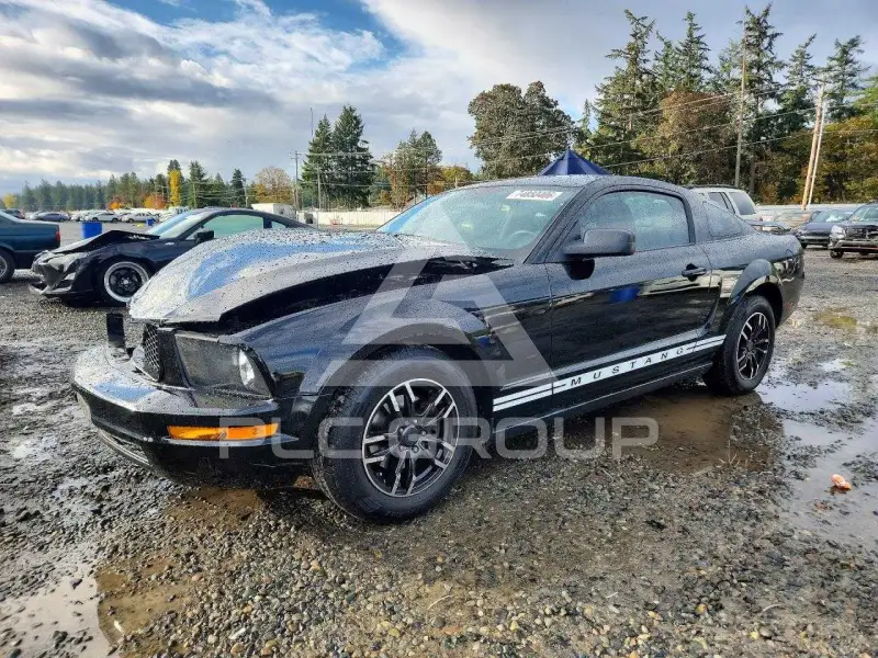 2005 Ford MUSTANG photo