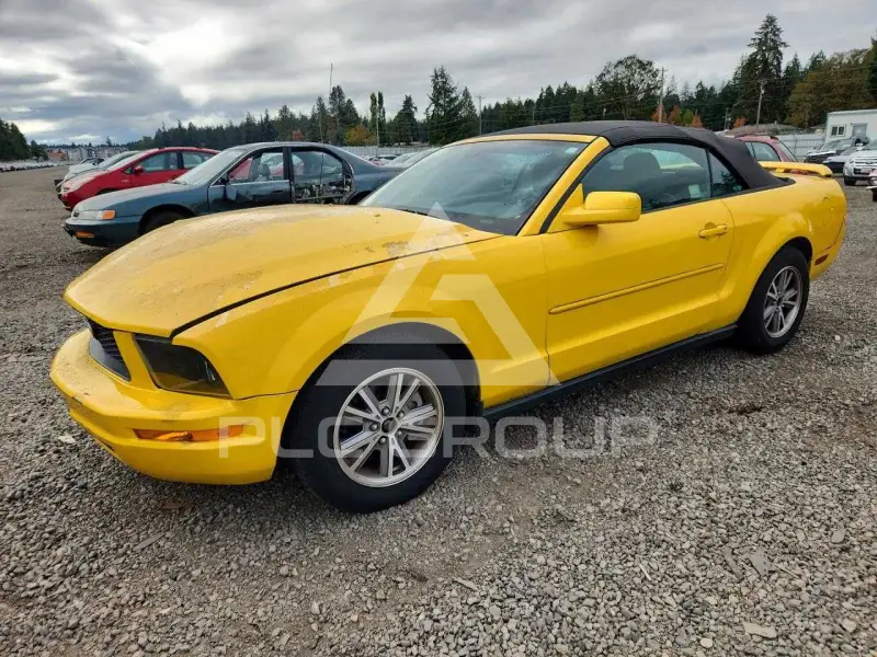 2005 Ford MUSTANG фото