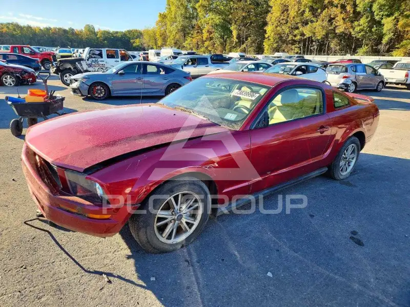 2005 Ford MUSTANG photo