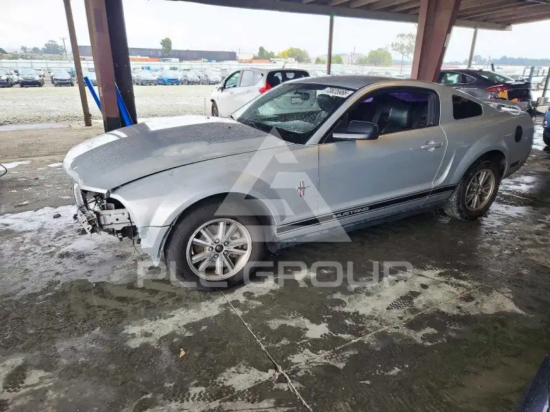 2005 Ford MUSTANG фото