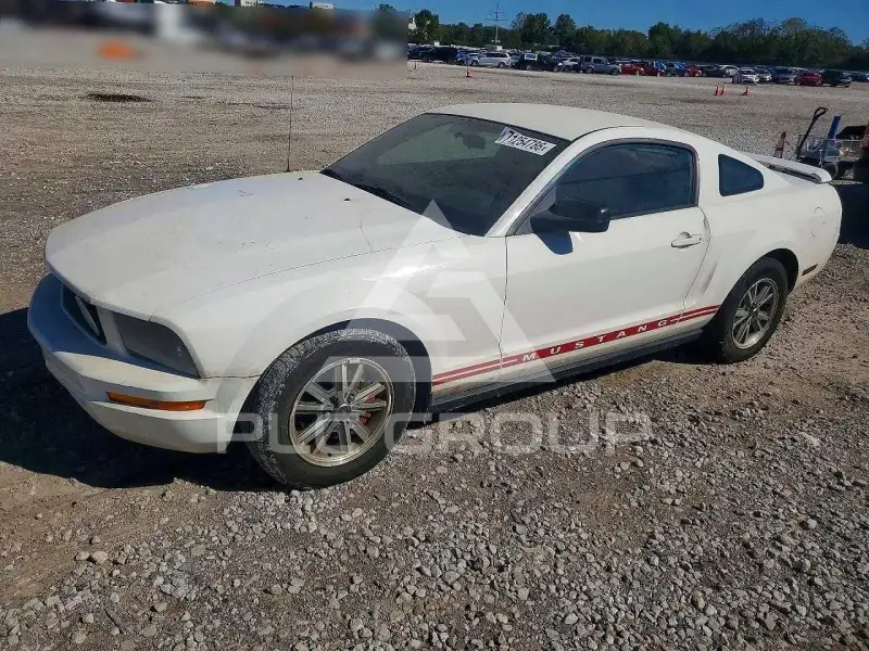 2005 Ford MUSTANG фото