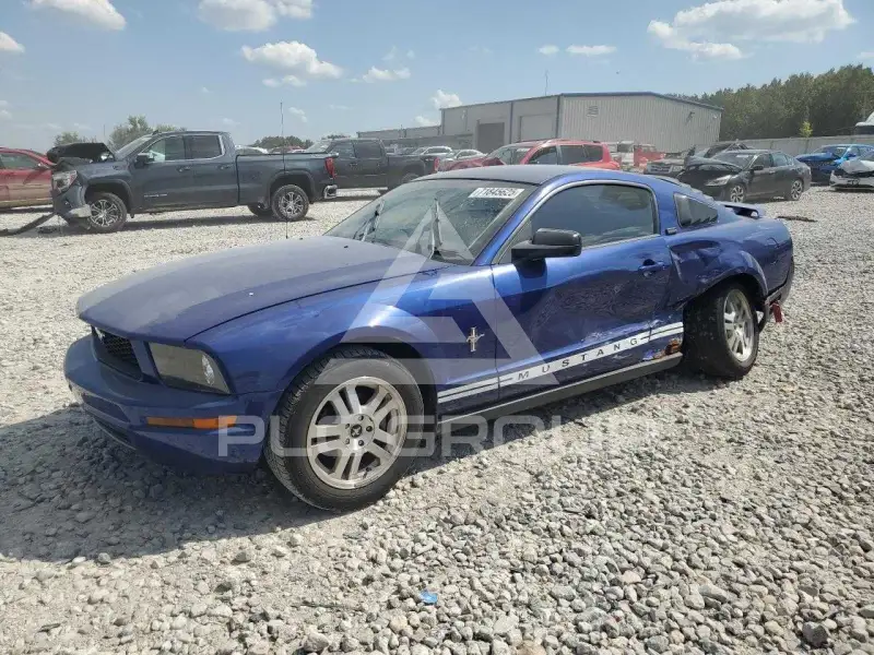 2005 Ford MUSTANG фото