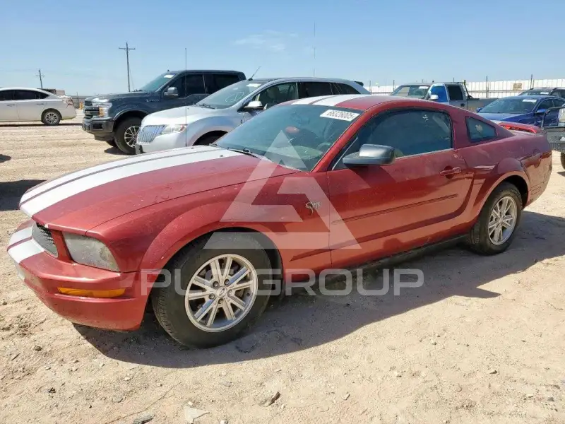 2005 Ford MUSTANG photo