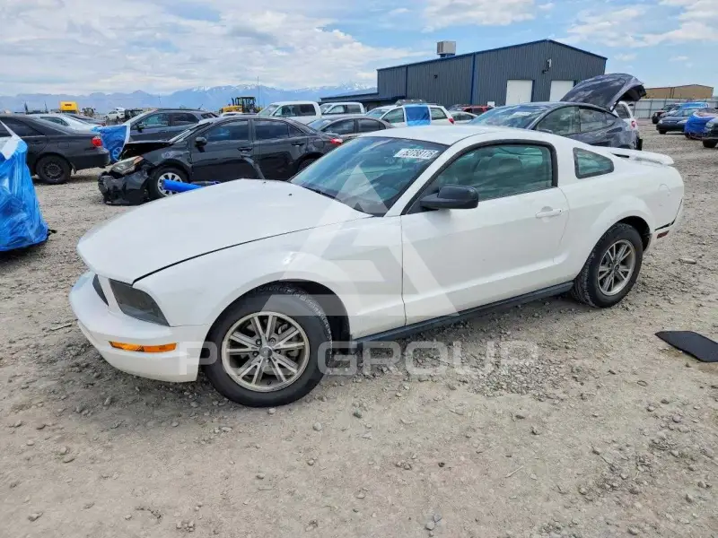 2005 Ford MUSTANG photo