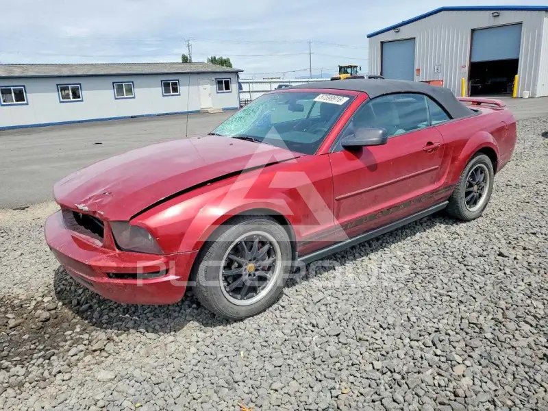 2005 Ford MUSTANG фото